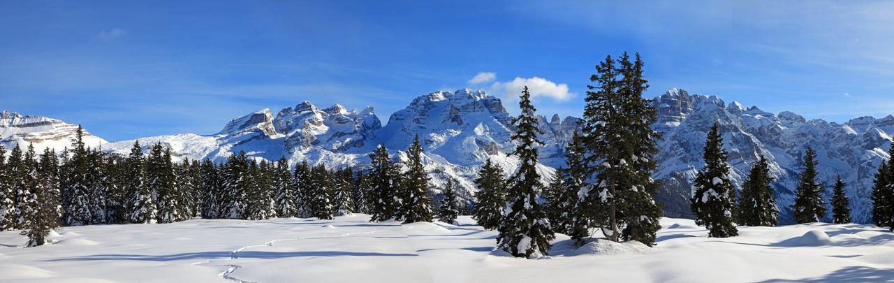 Albergo Garni Maso Mistrin Madonna di Campiglio Exterior foto